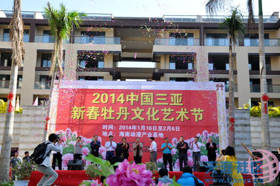 首届牡丹节300多珍稀牡丹争艳海南三亚