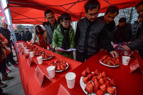 �㽭ʡ�����أ�����ݮ������ӭ���´��¸���