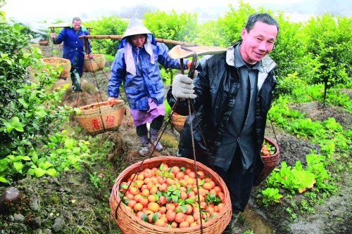 ƵɰǽڼȻܳũȴֿ˻