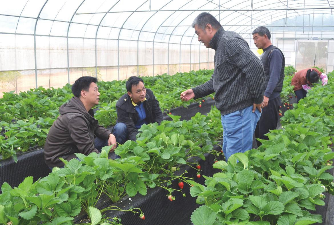 ����������ũ�������������ݮ��óɹ�