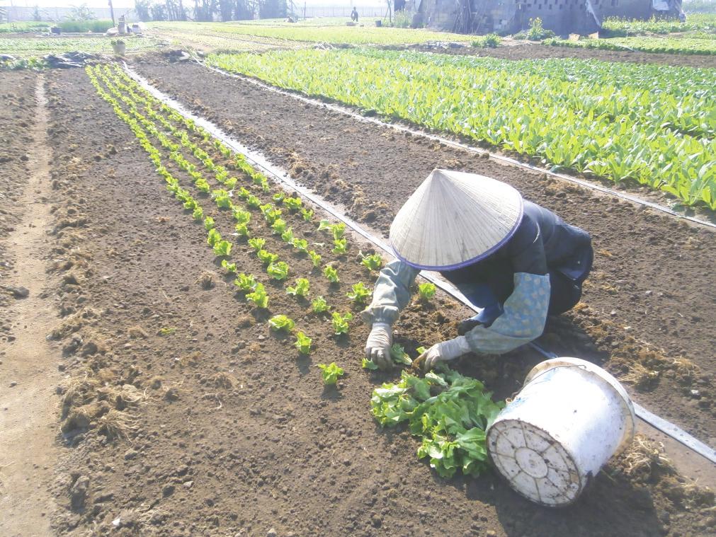 ����������ϣ������Ұ