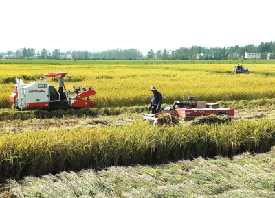 河南固始:做大做活“农”字文章