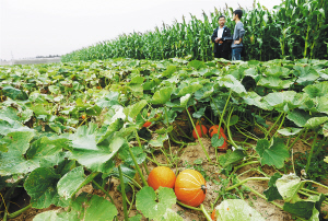 �л�ũҵ������������ζ��