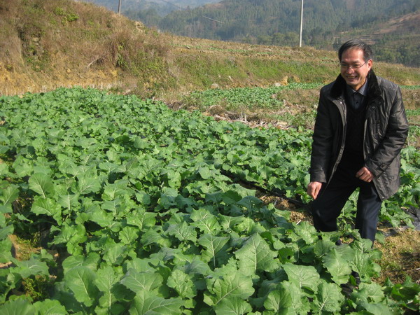 ���������أ������Ͳ˸��ǵ�Ĥ �Ͳ˳��ƺ�