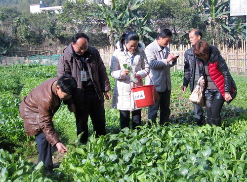 ƽũҵּӴ󴺽ǰũƷȫ