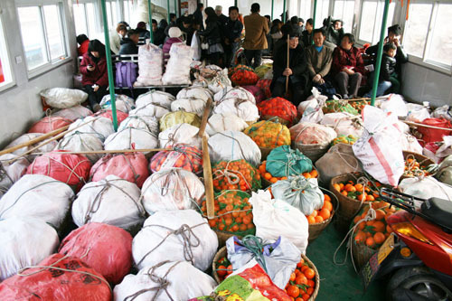 重庆巫山:柑橘丰收进入销售旺季