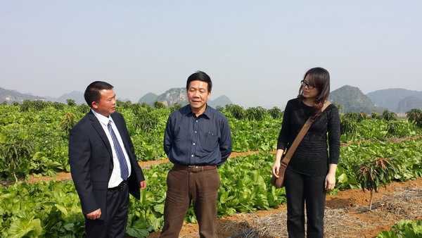 ���������ӿ��ƽ�ˮ����ҵ�ṹ������ũ����