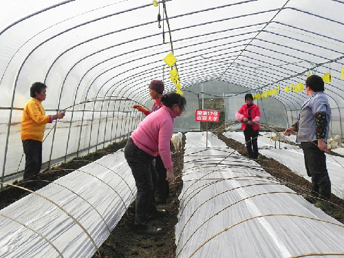 ����ǭ����������̺������Ĥ��Ĥ������