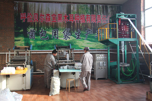 ���ɹź��ױ������׼Ҿ��������ϴ����������������н���Ͷ��