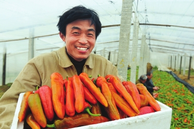 ���ϻ��ز�ũæ�������ձ���Ӧ