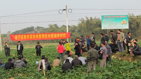 ���������������ٰ춬���߲���������ѵ��