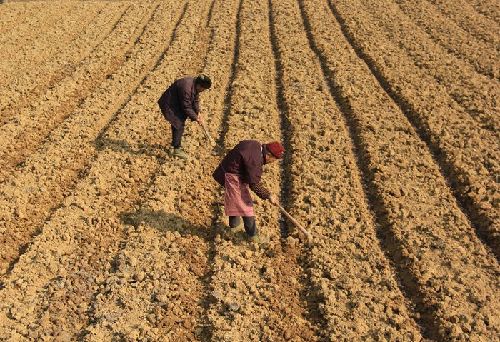 ����ǭ������ׯ�ڡ�չ������ ��Ѯ��������Ч��