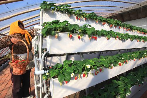 123գɽʡīׯִũҵصֲҴڲժݮ