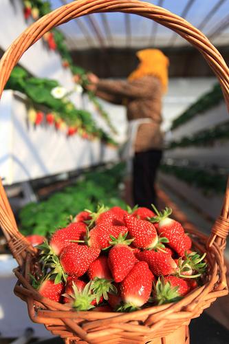123գɽʡīׯִũҵصֲҴڲժݮ