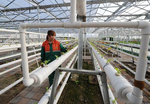 河北张北:打造坝上高原现代农业示范区