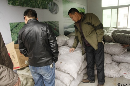 ����������ǿ������������������һ��