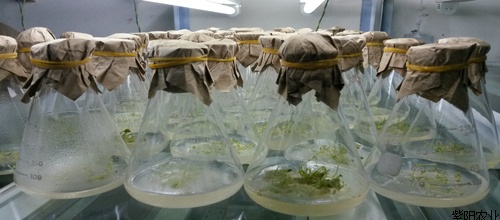 ����������ǿ������������������һ��3