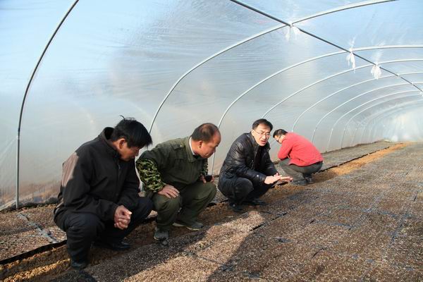 ��������أ����ٴ�ٽ����ָ�콷���繤���������