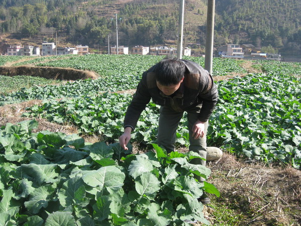 ���������أ���Ĥ���� �Ͳ˲���