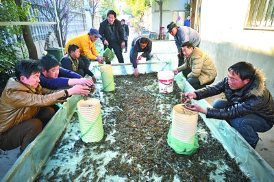 ���յ�Ϳ��з���� зũ��3