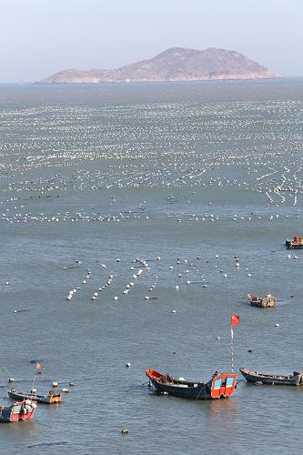 㽭ʡɽɽݱֳ126㣩ɫͲµݱ罫ڽ78·ջ