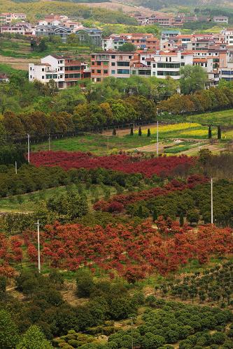 2013㽭ũ˾볬16000Ԫ