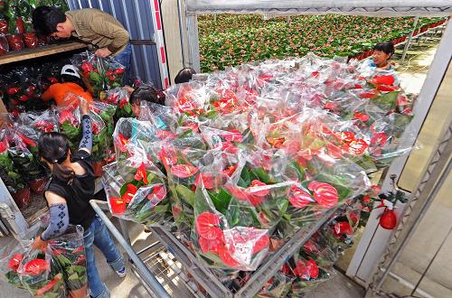 㽭ʡصĻũӻܴ˻ϰǳеʻ2013528㣩