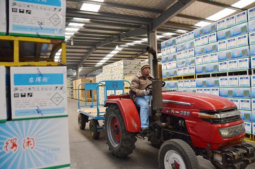 1��26�գ���ɽ�����ݱ�ũ�Ƽ����޹�˾�Ĳֿ⣬���˼�ʻ��������������ũ�����