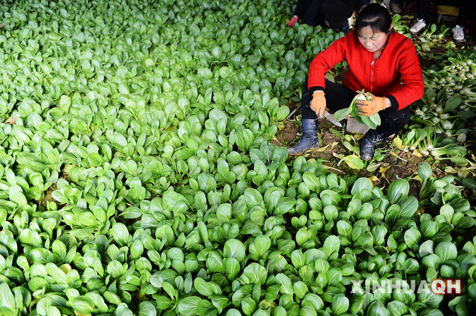 122գຣֶҴ̷ֲҴڣԱڲժСͲ