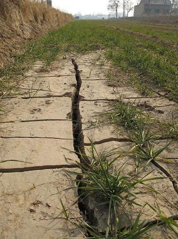 ���������֡����е�����С������