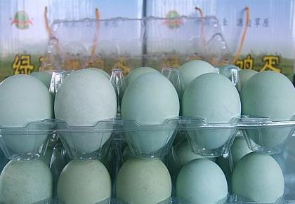 ���ϣ���ɫ����������