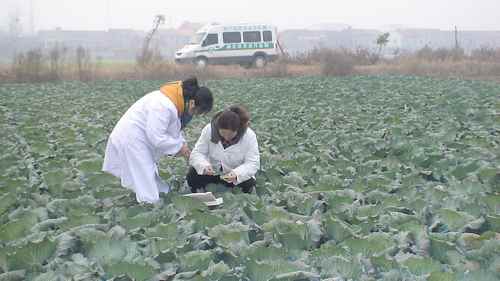 ���������ǿũ��Ʒ������ȫ���м��ȷ�������߲�ʳ�ð�ȫ