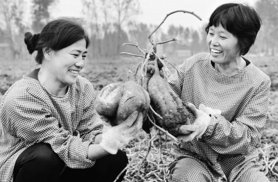 ����ʡ�����У�������Чũ������Ͷ�ʻ���