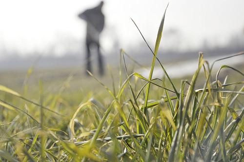 ɽʡĳУ´ѽڽ С󽽹æ