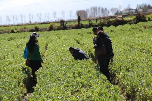 ֶũԱũԺۿ϶ӽ鼰Ʒʾչʾ