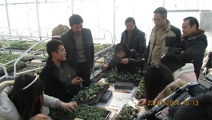 �㽭��Ϫ��ũ��վ�ٰ��߲˼޽Ӽ�����ѵ��