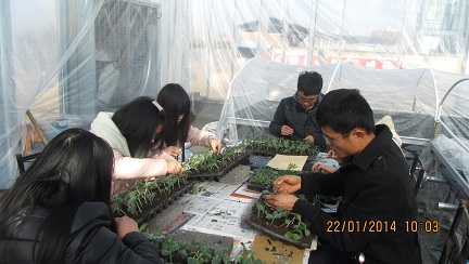 �㽭��Ϫ��ũ��վ�ٰ��߲˼޽Ӽ�����ѵ��2