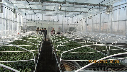 �㽭��Ϫ��ũ��վ�ٰ��߲˼޽Ӽ�����ѵ��3