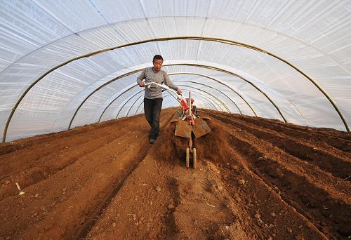 24գʮĽеɽʡׯɽͤʯũڴ÷⹵Ϊղֵ