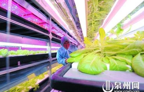 20132015긣Ȫ1.3Ԫרʽִ֧ʩũҵ