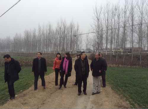 ѸԺʿרŶָʵվ޻ʾƻ