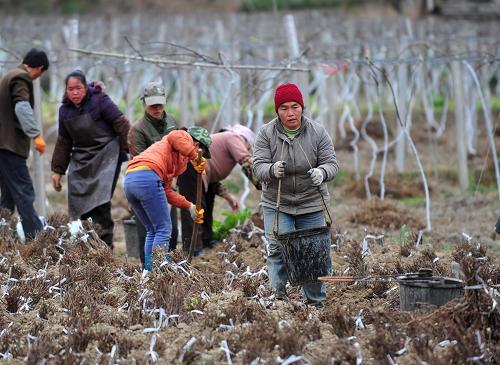 29գϵسǹɽֲ⨺硣