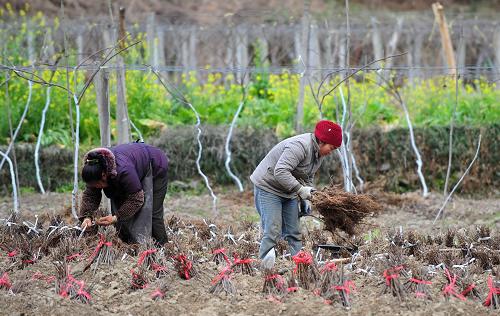 29գϵسǹɽֲ⨺硣