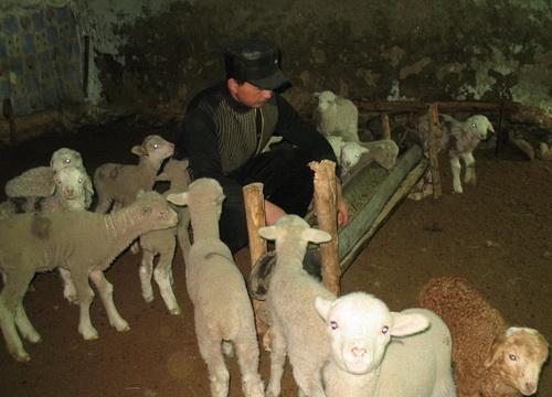 �½����ŵڰ�ʦһ����������Ȫ������ֻĸ������˲�����