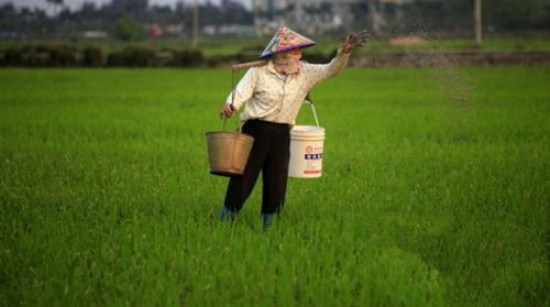 Ͻ꽫չȴɫִũҵȶϲֲͼΪũ