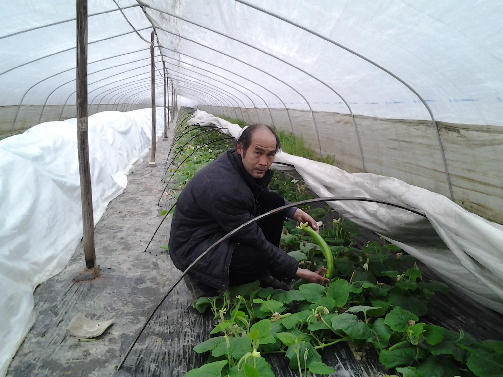 㽭ٰԽ紺ʩѹϻóɹ