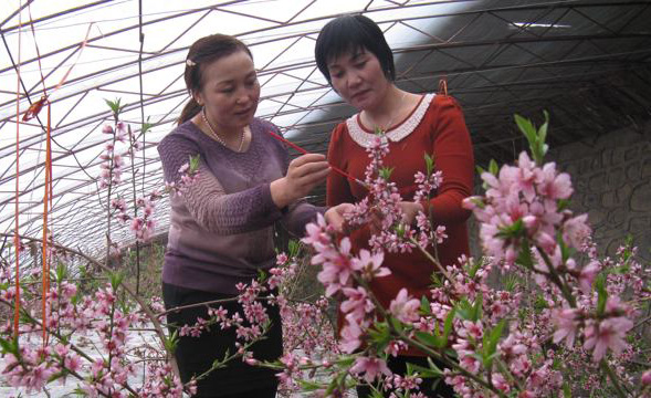 �½���ǡ�أ������һ�ӭ����