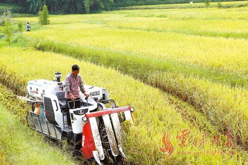 ϣҰ ˶ۡ2013㶫Ƹũҵִչʵ