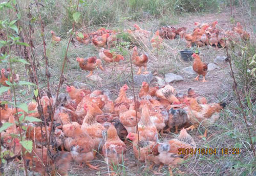 ��ֳ���㴻��