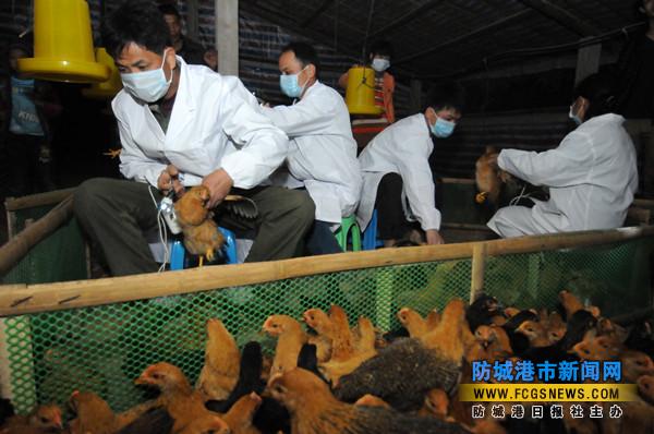 ������˼��Ϊ����ע������ �Ϸ�����������